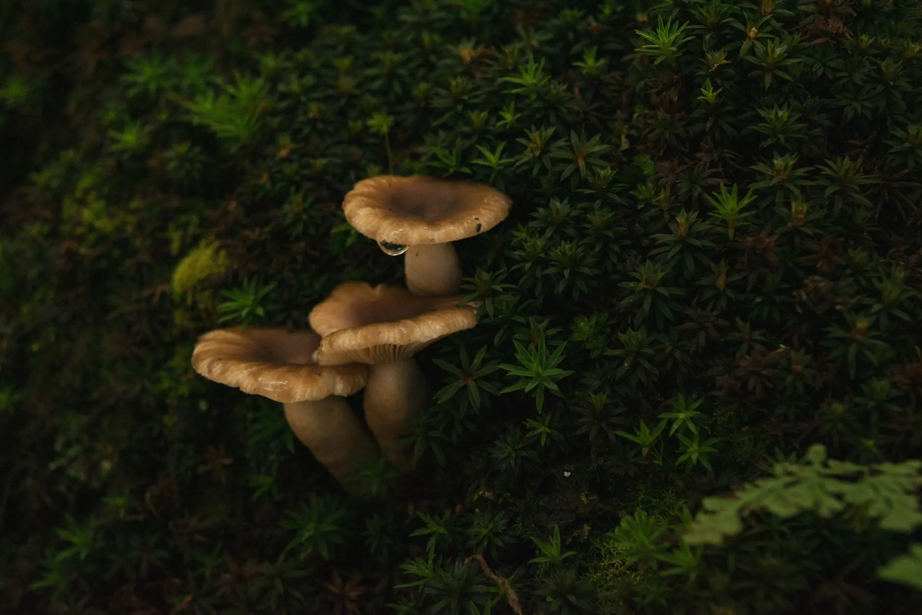 北京凯创益和工业电炉与烘箱设备技术选型要点分析
