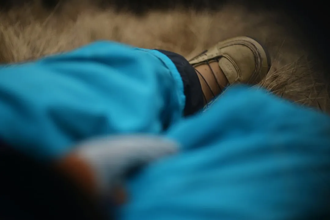 实验室干燥箱选型要点：从控温精度到气流均匀性对比